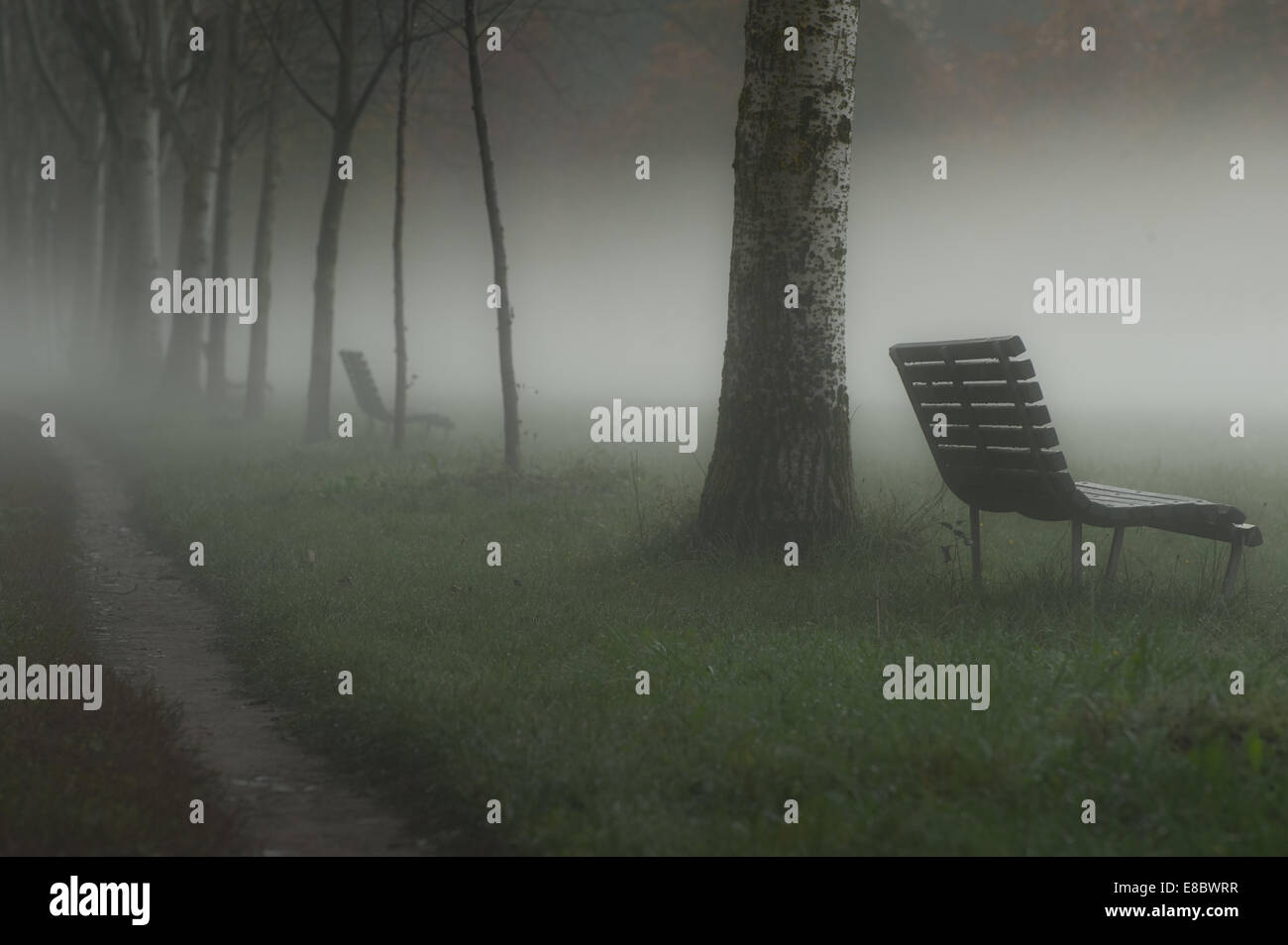 Mystic misty landscape (Trees and park benches along a path) Stock Photo
