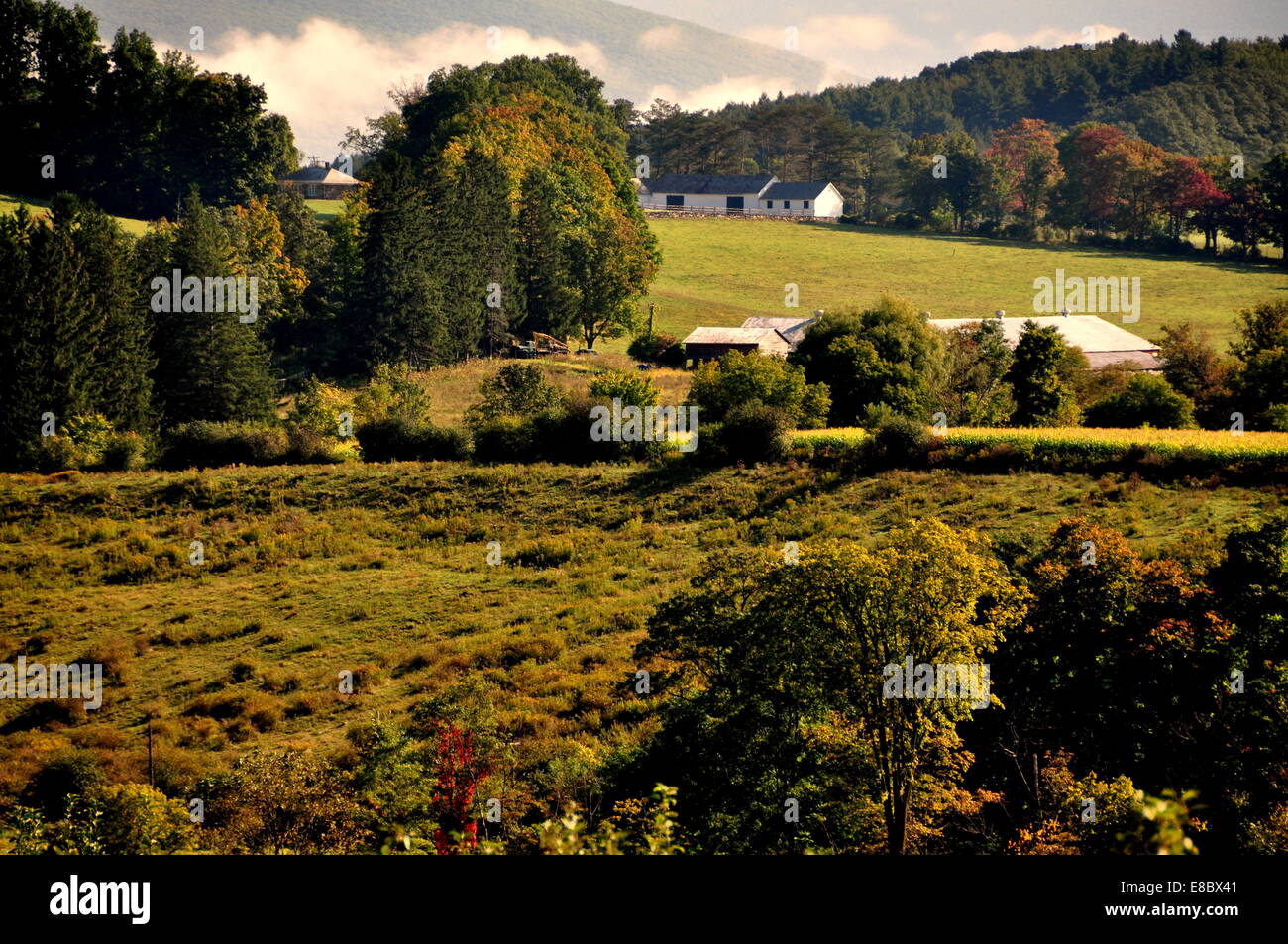 Williamstown, MA: Rolling farmlands with clouds nestling on the Berkshire Hills Stock Photo
