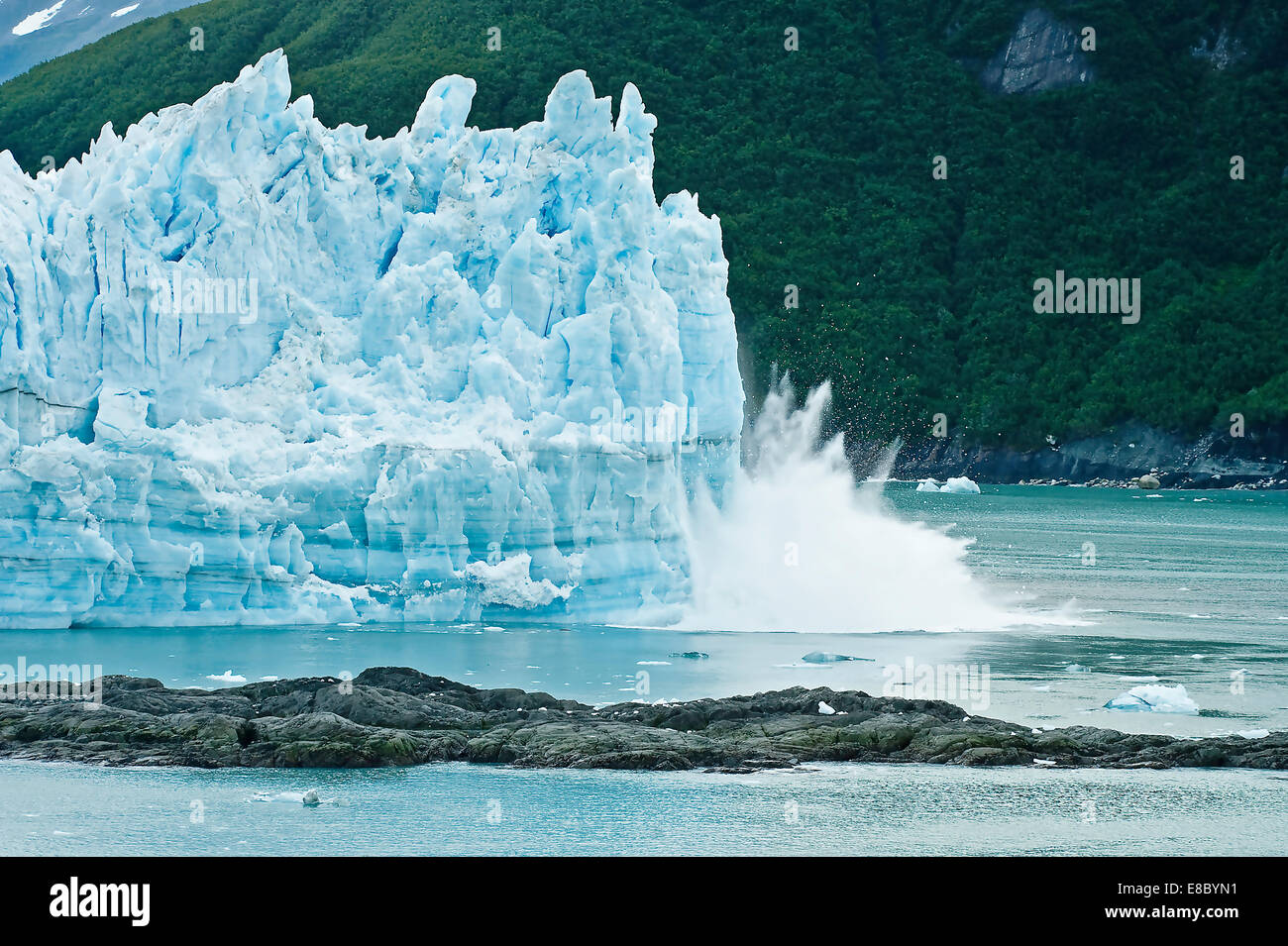 Alaska cruise - calving glacier -  Hubbard glacier -  a huge iceberg calves into Disenchantment Bay - St. Elias Alaska. - near Yukon, Canada. Stock Photo