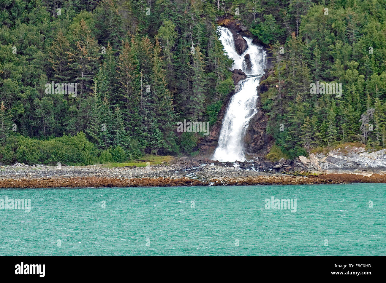 A scenic mountainside waterfall crashes through pine trees near Haines State Forest Skagway Alaska | Lynn Canal fjord cruise - inside passage Stock Photo
