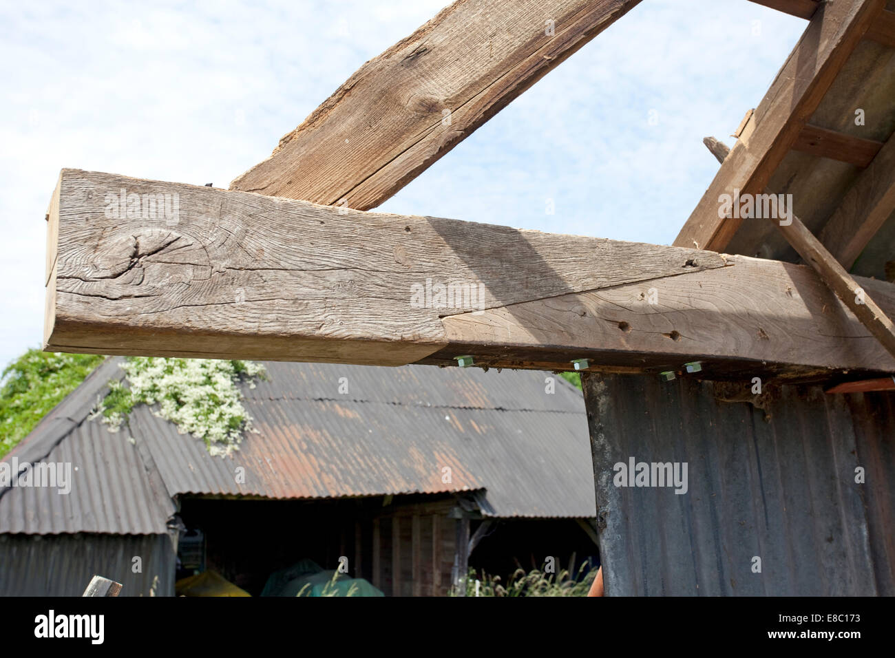 Restoring Of An Old Oak Barn Splicing Oak Beams Stock Photo