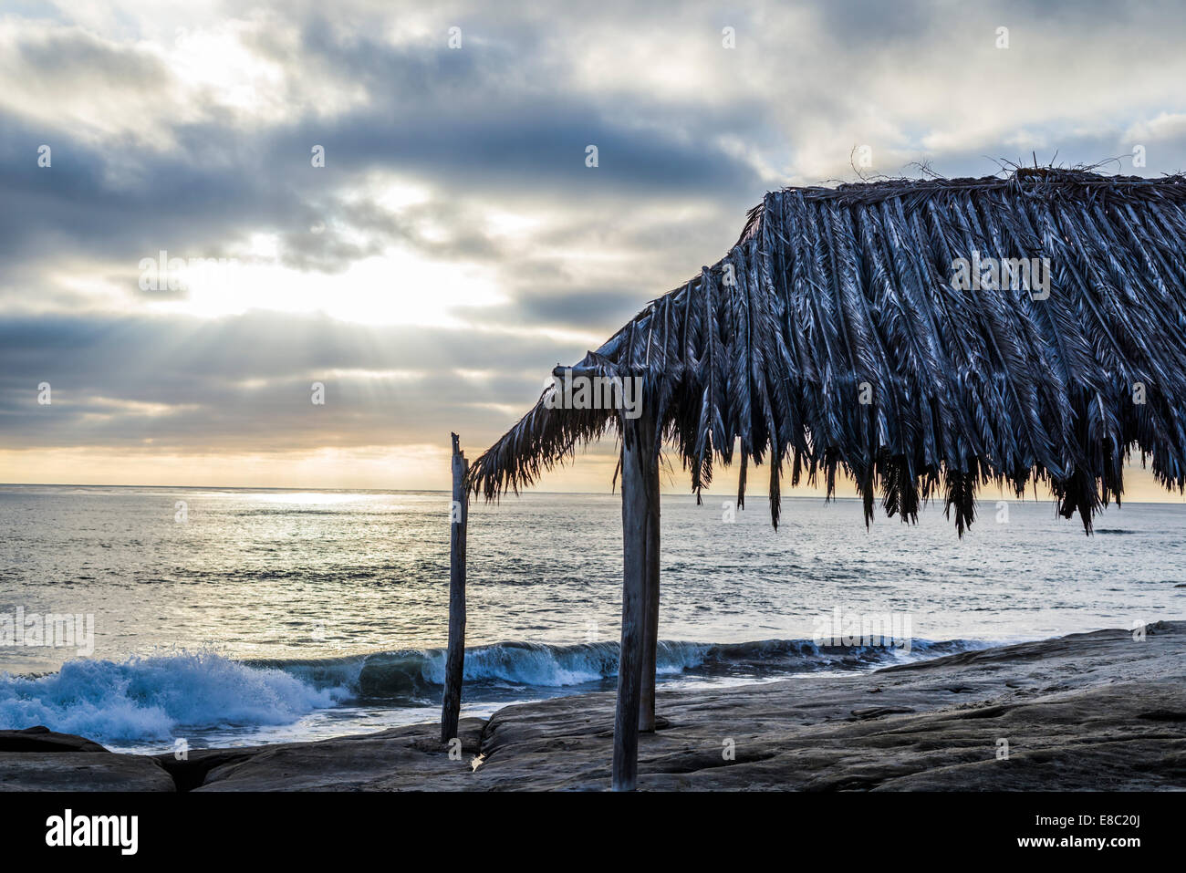 La jolla surf shack surfers at hi-res stock photography and images - Alamy