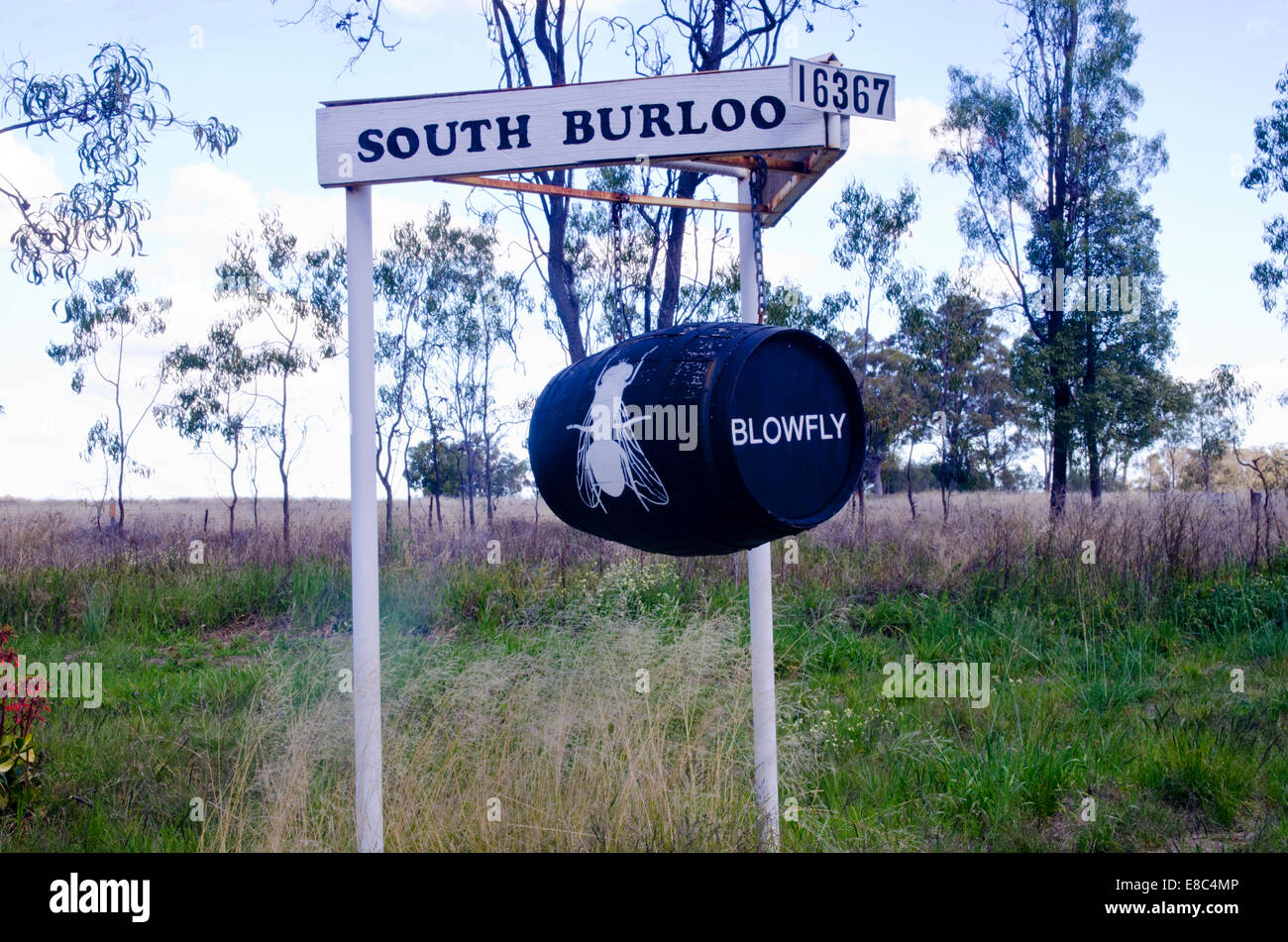 Beer barrel mail box with a blowfly image on Oxley Hwy NSW Australia