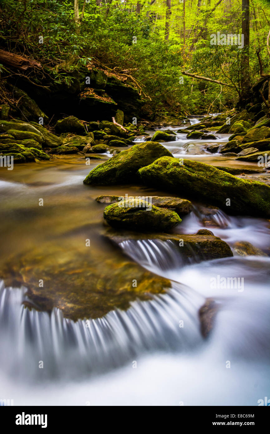 River stream forest hi-res stock photography and images - Alamy