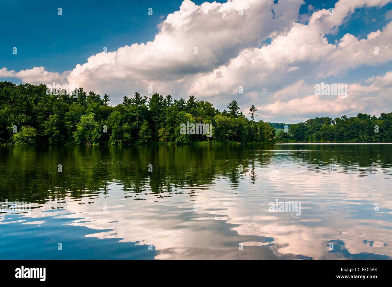 Pond reflecting trees blue hi-res stock photography and images - Alamy