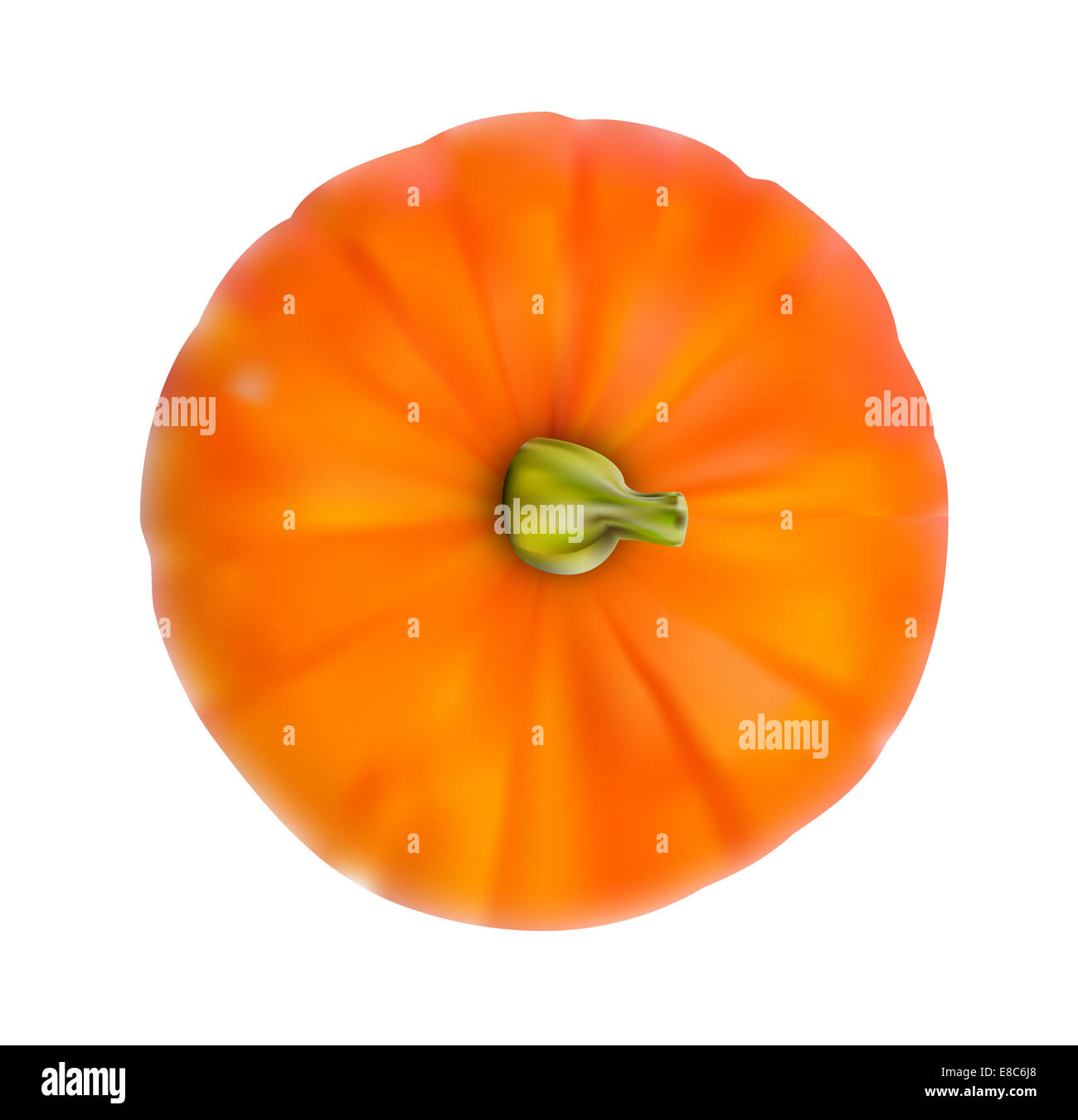 Fresh Orange Pumpkin Isolated on White Background Vector Illustr Stock ...