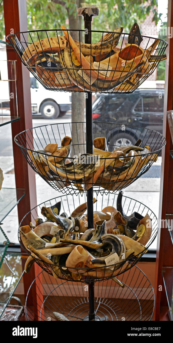 Shofars for sale at a Judaica store in Crown Heights, Brooklyn, New