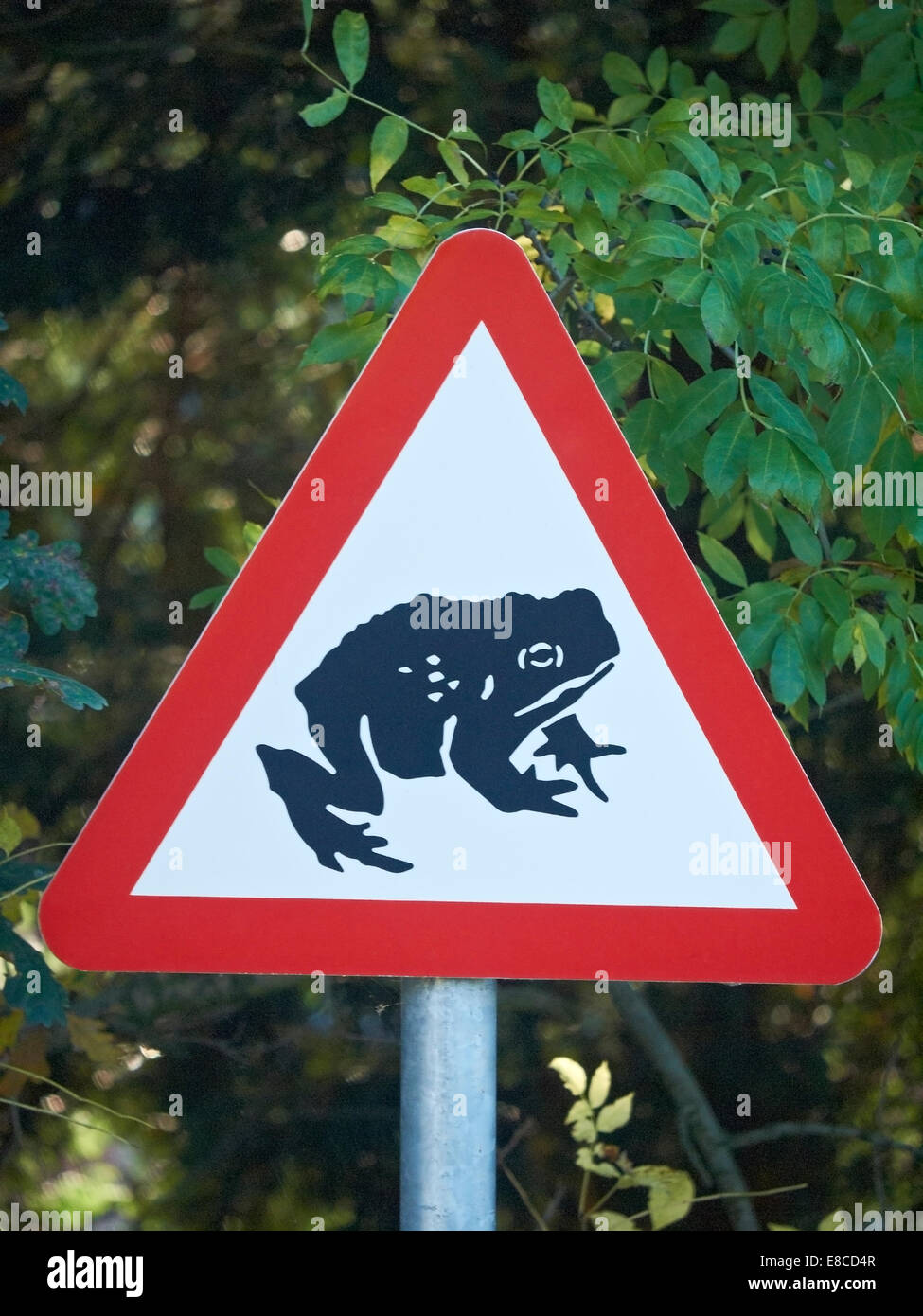 Frog or toad warning road sign UK Stock Photo