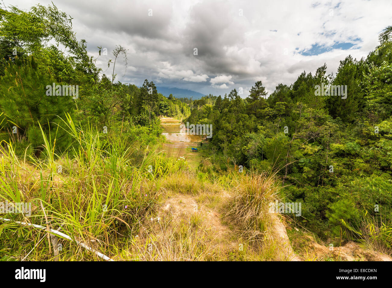 Stunning landscape and bright rice fields in Tana Toraja, South Sulawesi, Indonesia. Wide angle view. Stock Photo