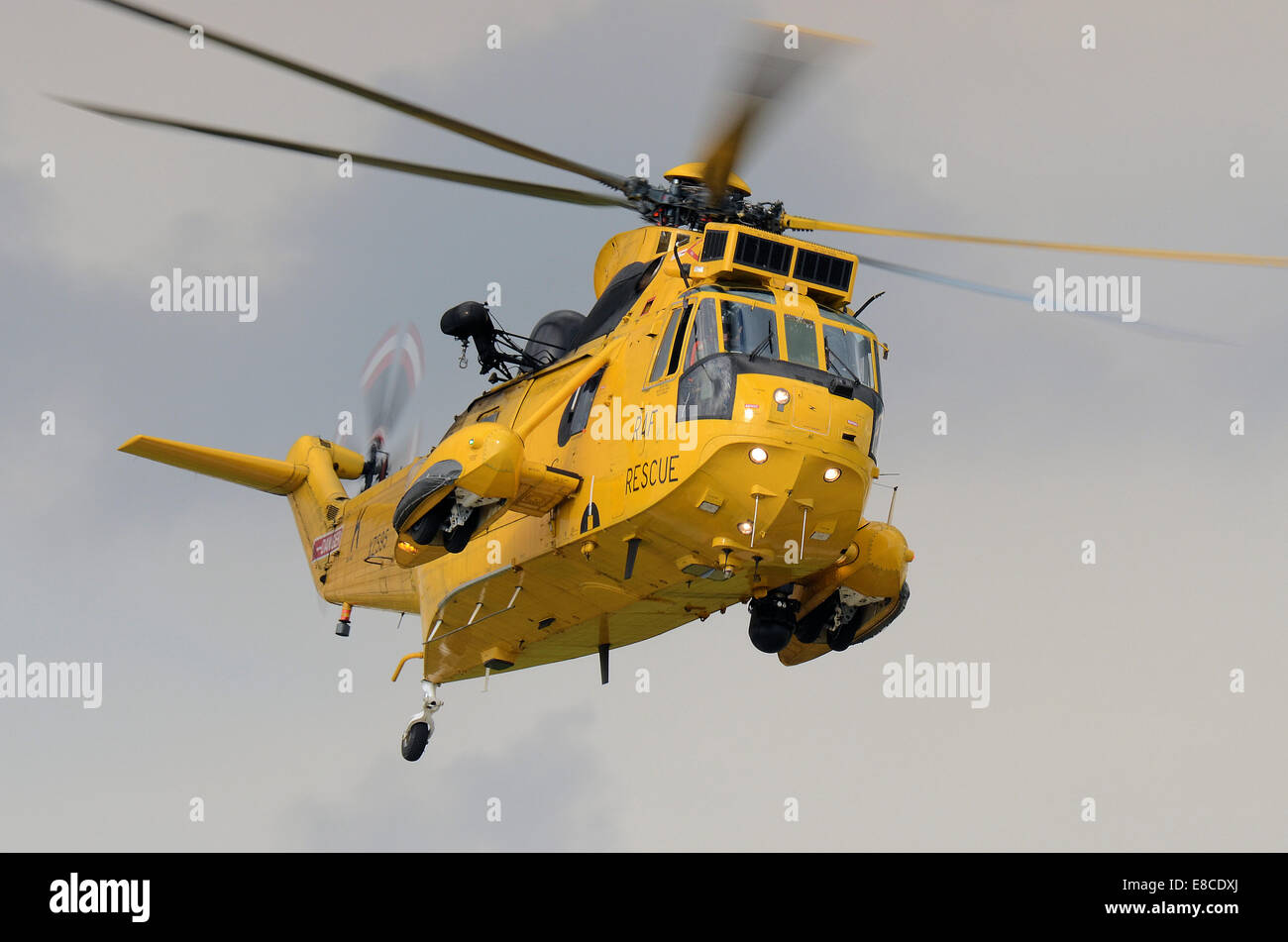 raf service number search