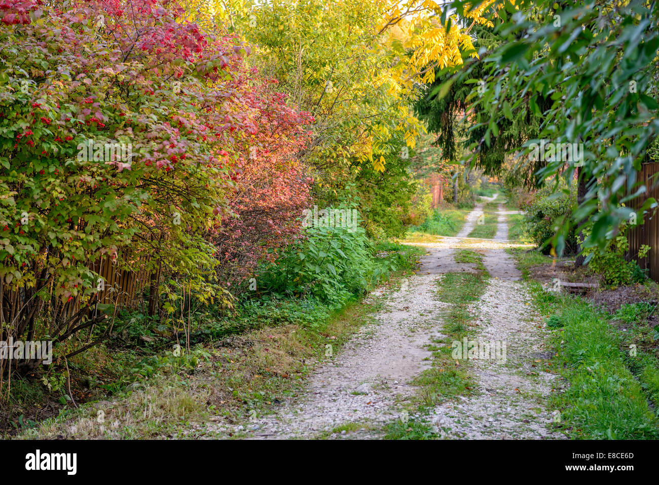 Colorful autumn landscape on country road Stock Photo