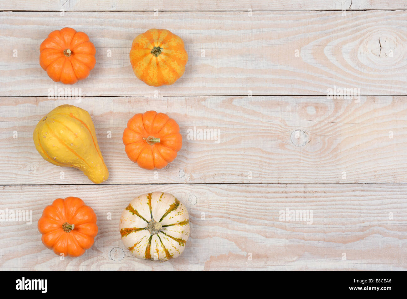 Gourds and pumpkins from a high angle on a white rustic wooden table ...