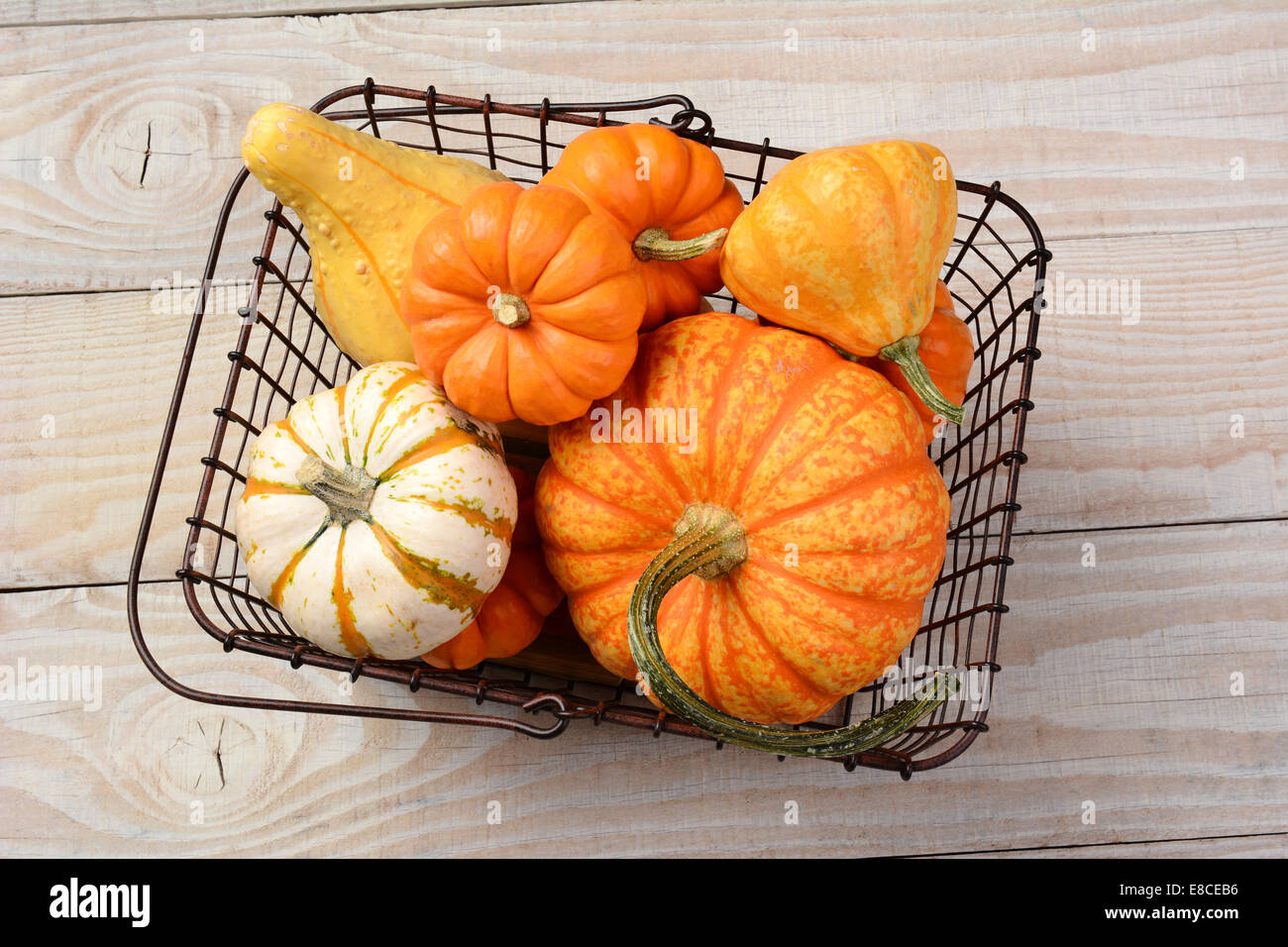 High angle shot of a variety of decorative pumpkins and gourds in an old wire shopping basket. Horizontal format on a rustic whi Stock Photo