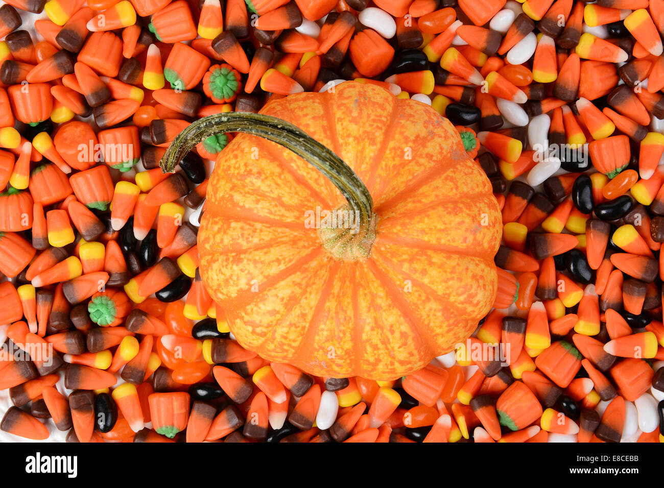 High angle shot of a decorative pumpkin surrounded by Halloween Candy, including, candy corn and jelly beans. Horizontal Format. Stock Photo