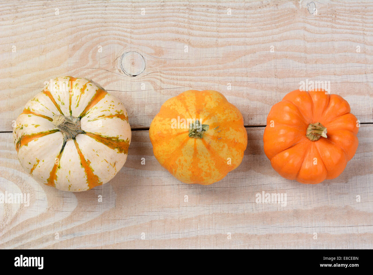 Overhead shot of decorative pumpkins and gourds on a rustic whitewashed ...