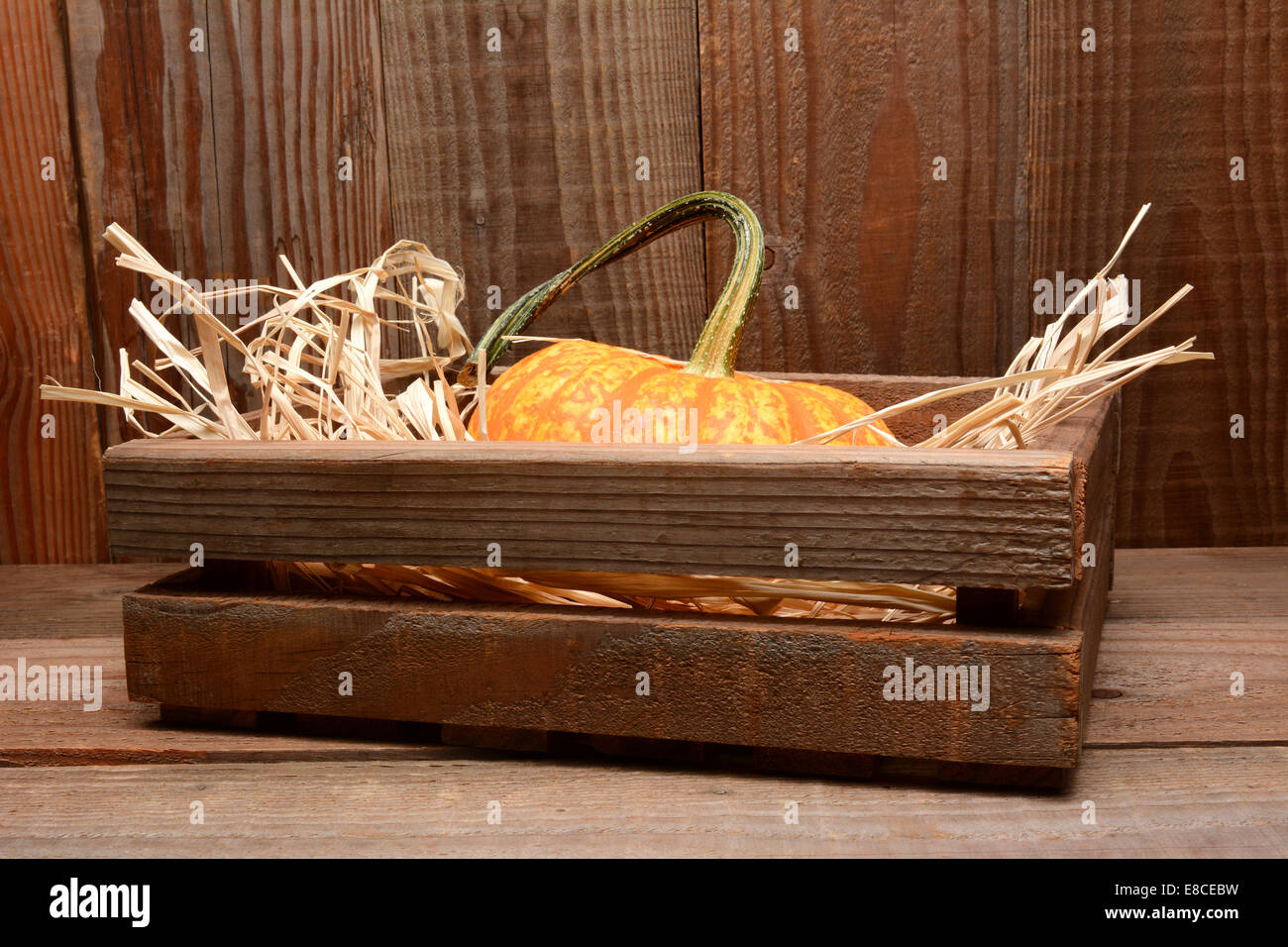 Closeup of a decorative pumpkin in a wooden crate with straw in a rustic wood barn setting. Stock Photo