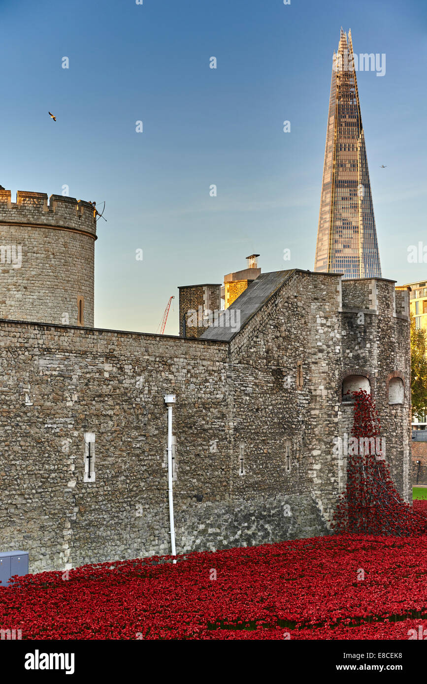Tower of London Poppies in the Moat HRP-Tower London -WW1-LogoFrom 5 August 2014 to 11 November 2018 Stock Photo