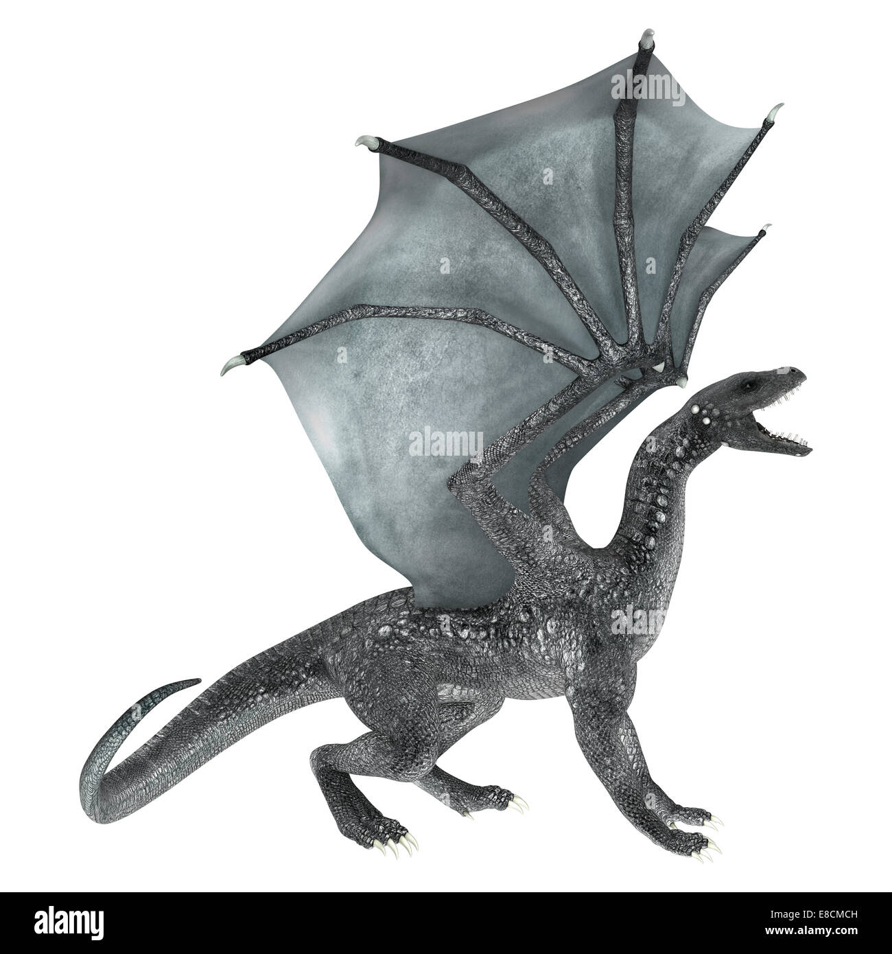 3D digital render of a roaring silver fantasy dragon isolated on white ...
