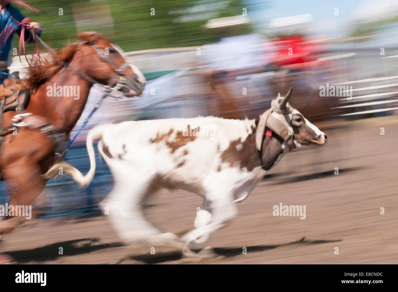 Dog cowboy horse ride hi-res stock photography and images - Alamy