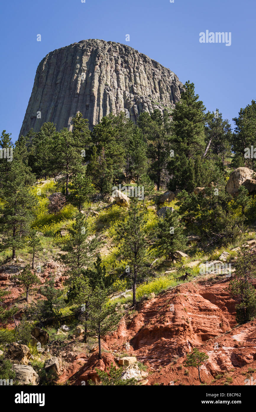 Back side view of devils tower national monument, photo taken early July Stock Photo