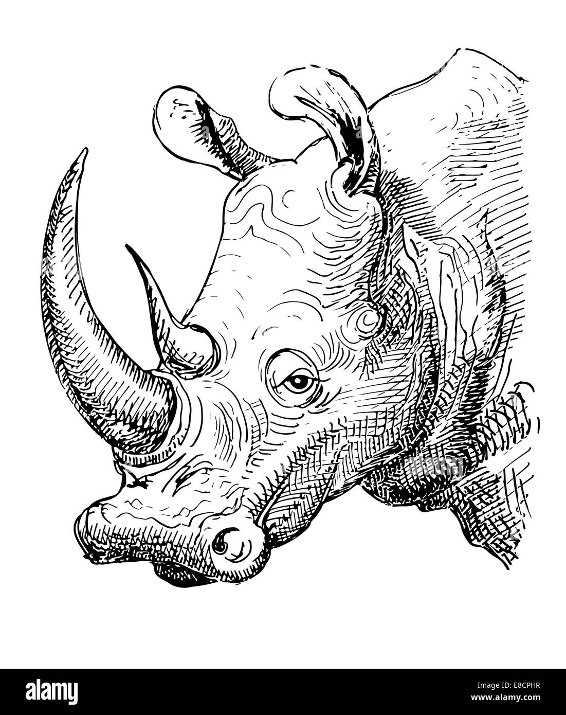 artwork rhinoceros, sketch black and white drawing Stock Photo