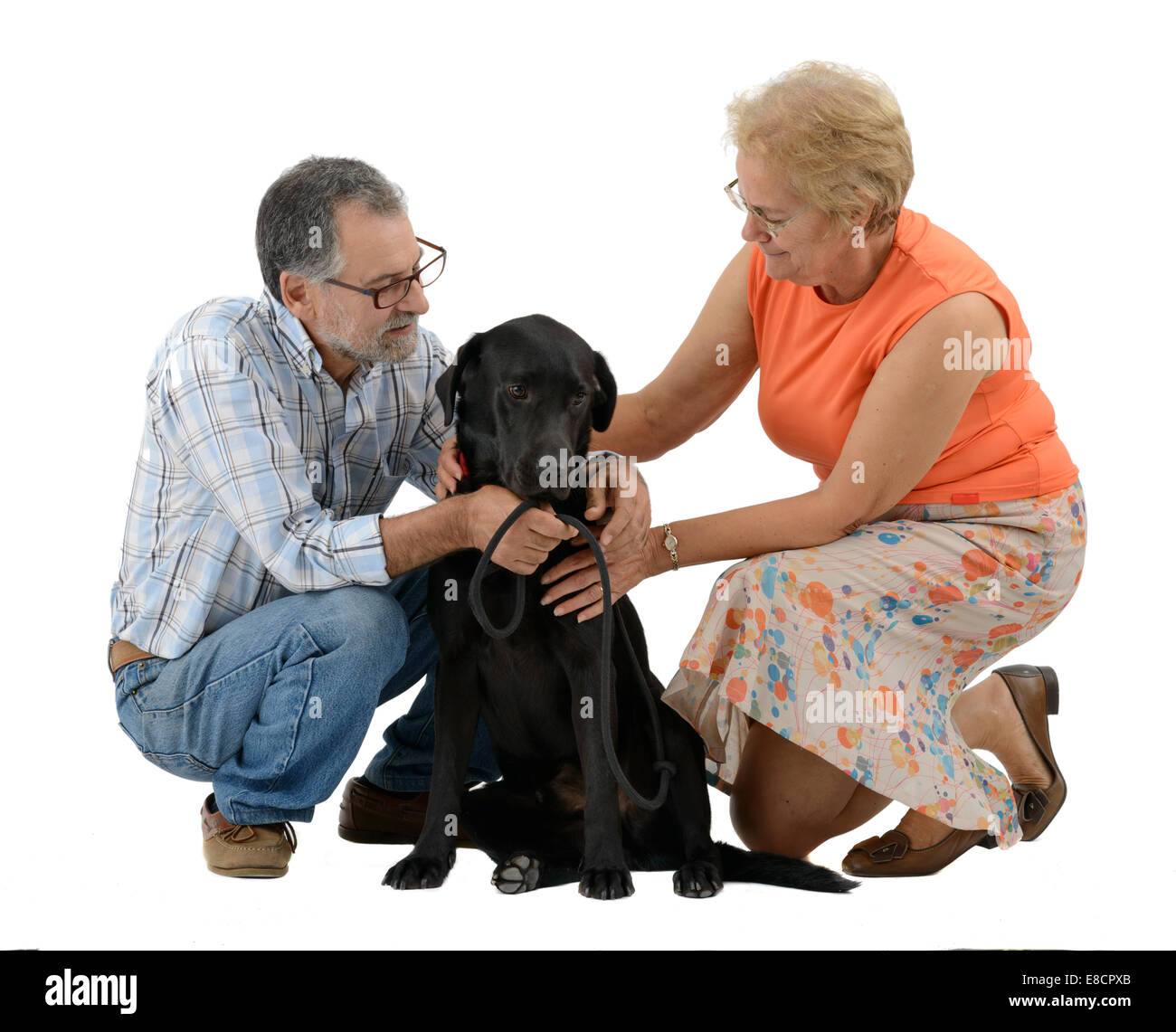 Couple petting black labrador retriever dog cut out isolated on white background Stock Photo