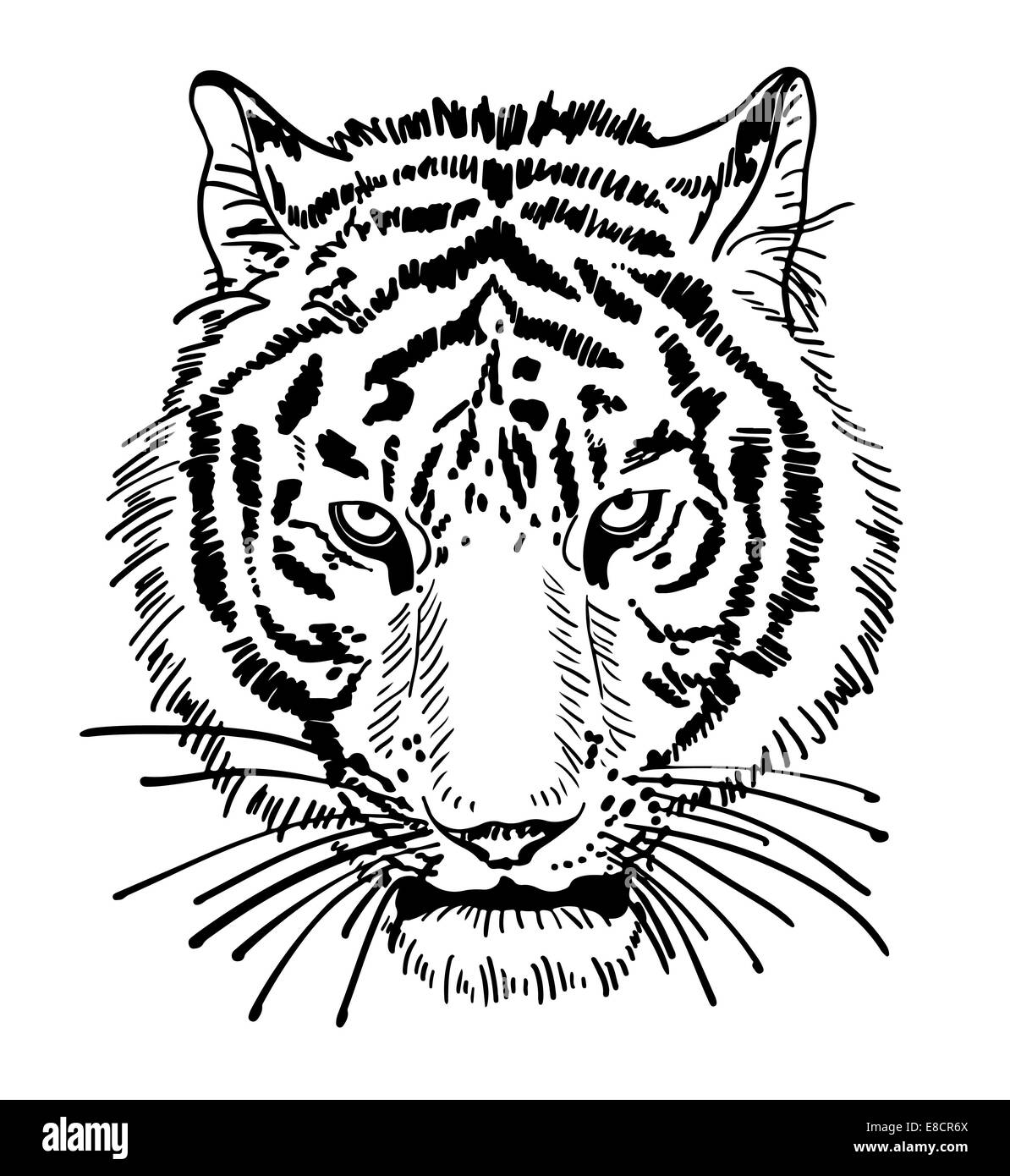 artwork of tiger face portrait, head silhouette Stock Photo