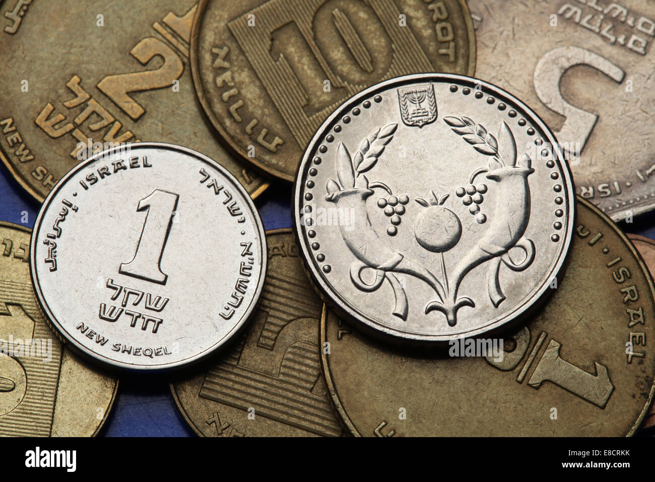 Coins of Israel. Two cornucopia depicted in the Israeli two new shekels