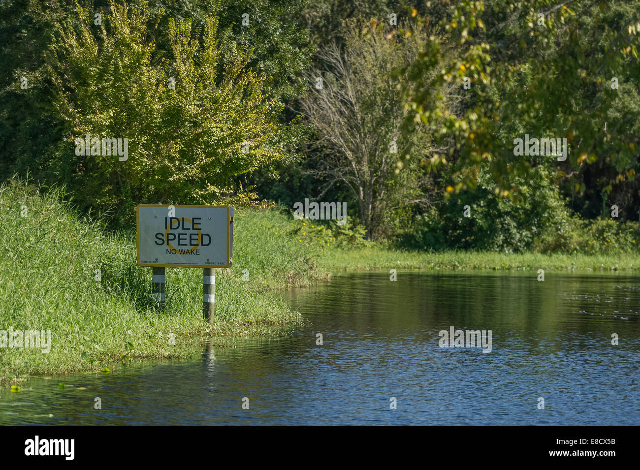 Idle Speed No Wake sign posted on the St.Johns River in Volusia County