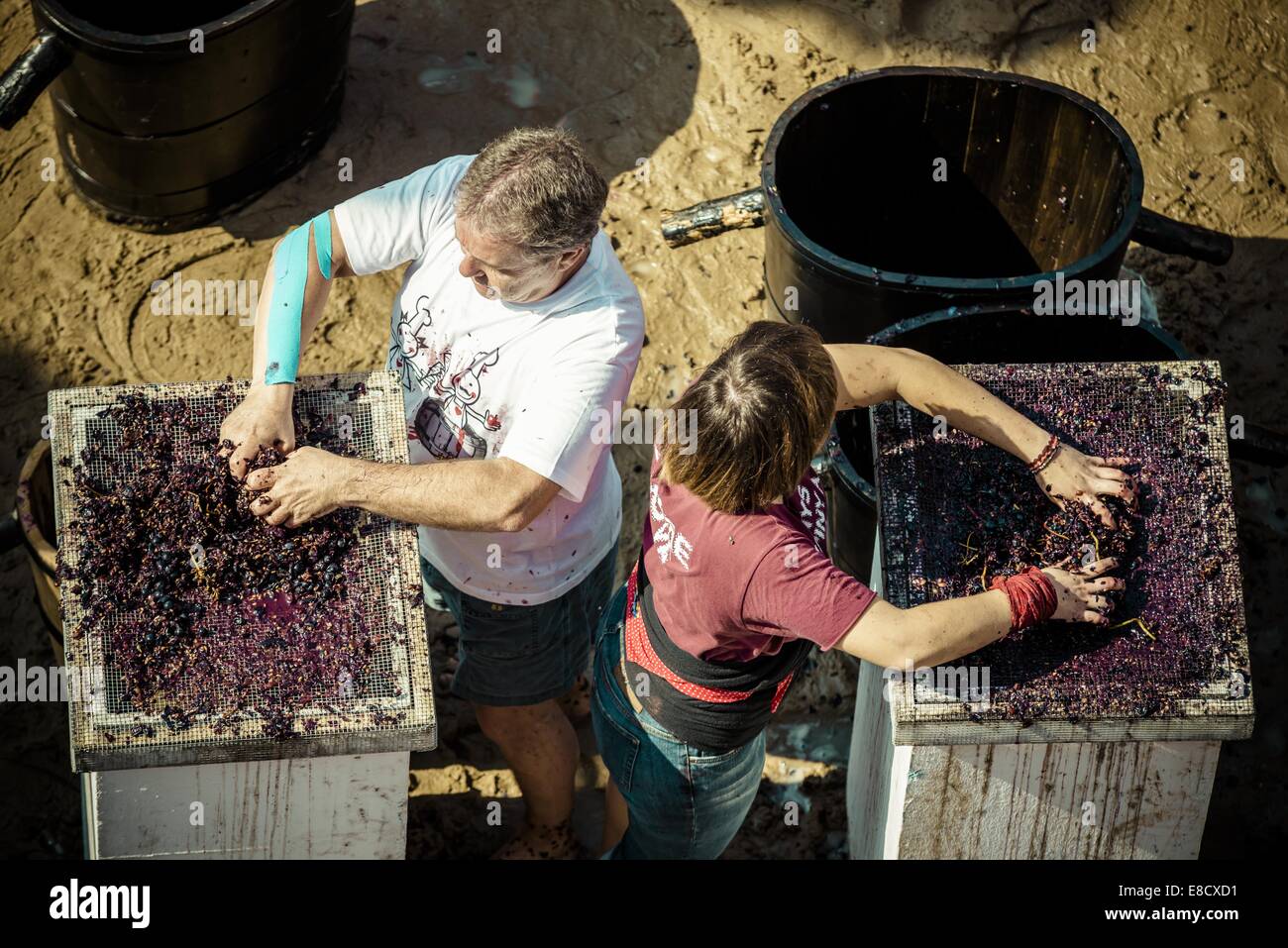 Stomping Grapes Stock Photos & Stomping Grapes Stock Images Alamy