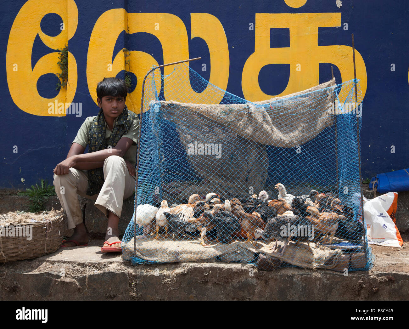 Boy selling chickens on streets of Ooty, Tamil Nadu, India Stock Photo