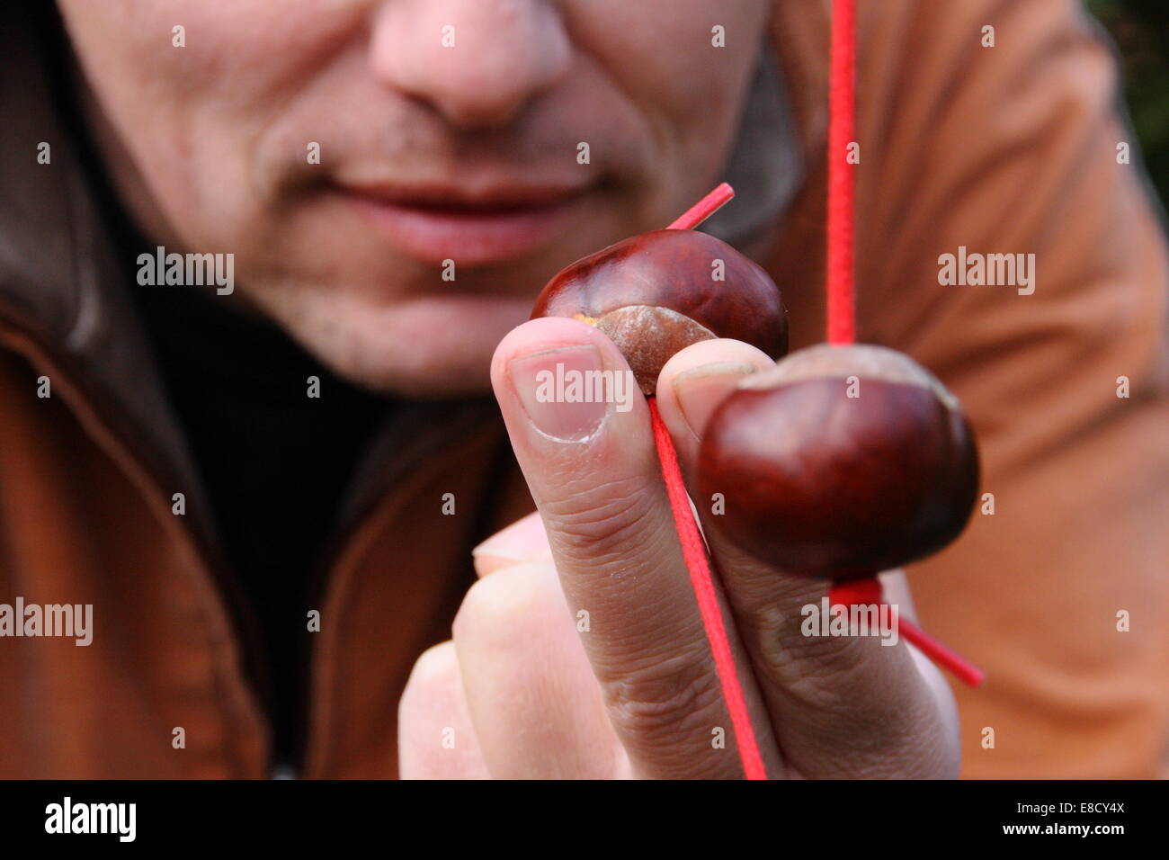 A man takes aim during a game of conkers, England, UK - autumn Stock Photo