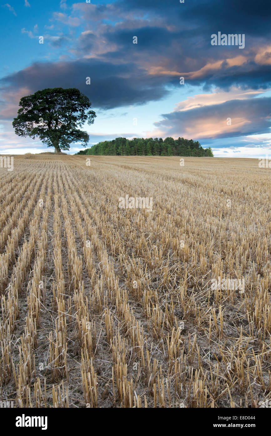 Stannington hires stock photography and images Alamy