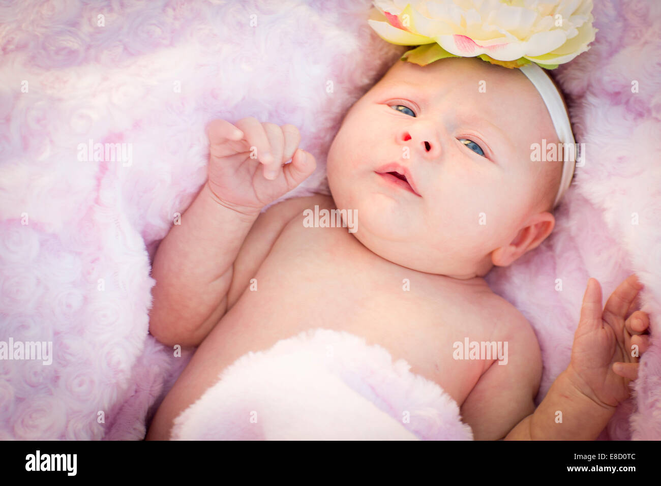 Beautiful Newborn Baby Girl Laying Peacefully in Soft Pink Blanket. Stock Photo