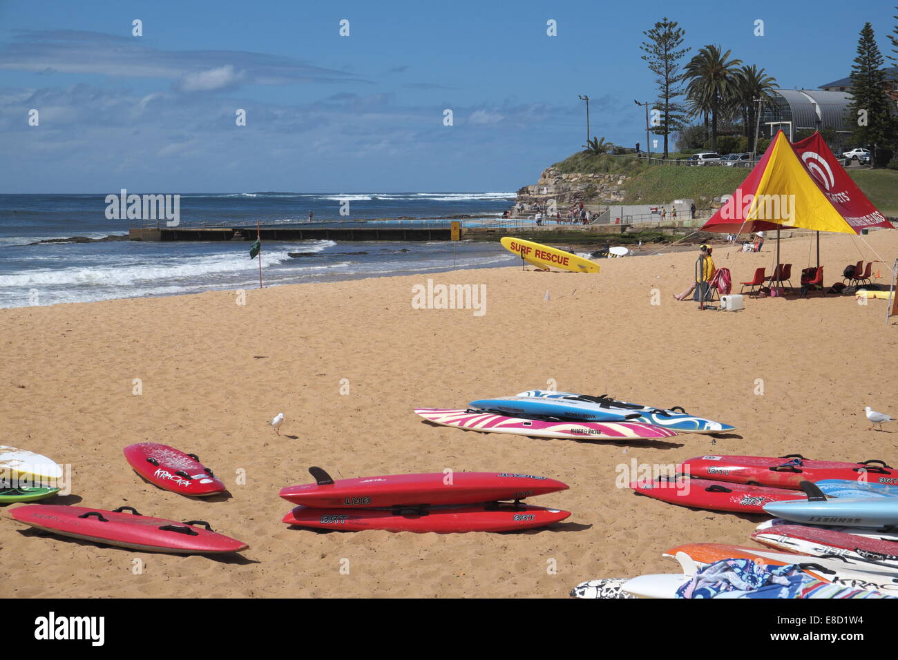 collaroy beach in spring, surf life saving season has just begun ...