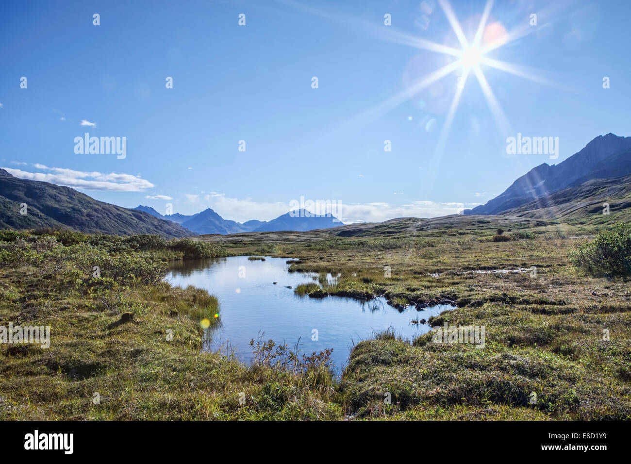 High elevation nature hi-res stock photography and images - Alamy