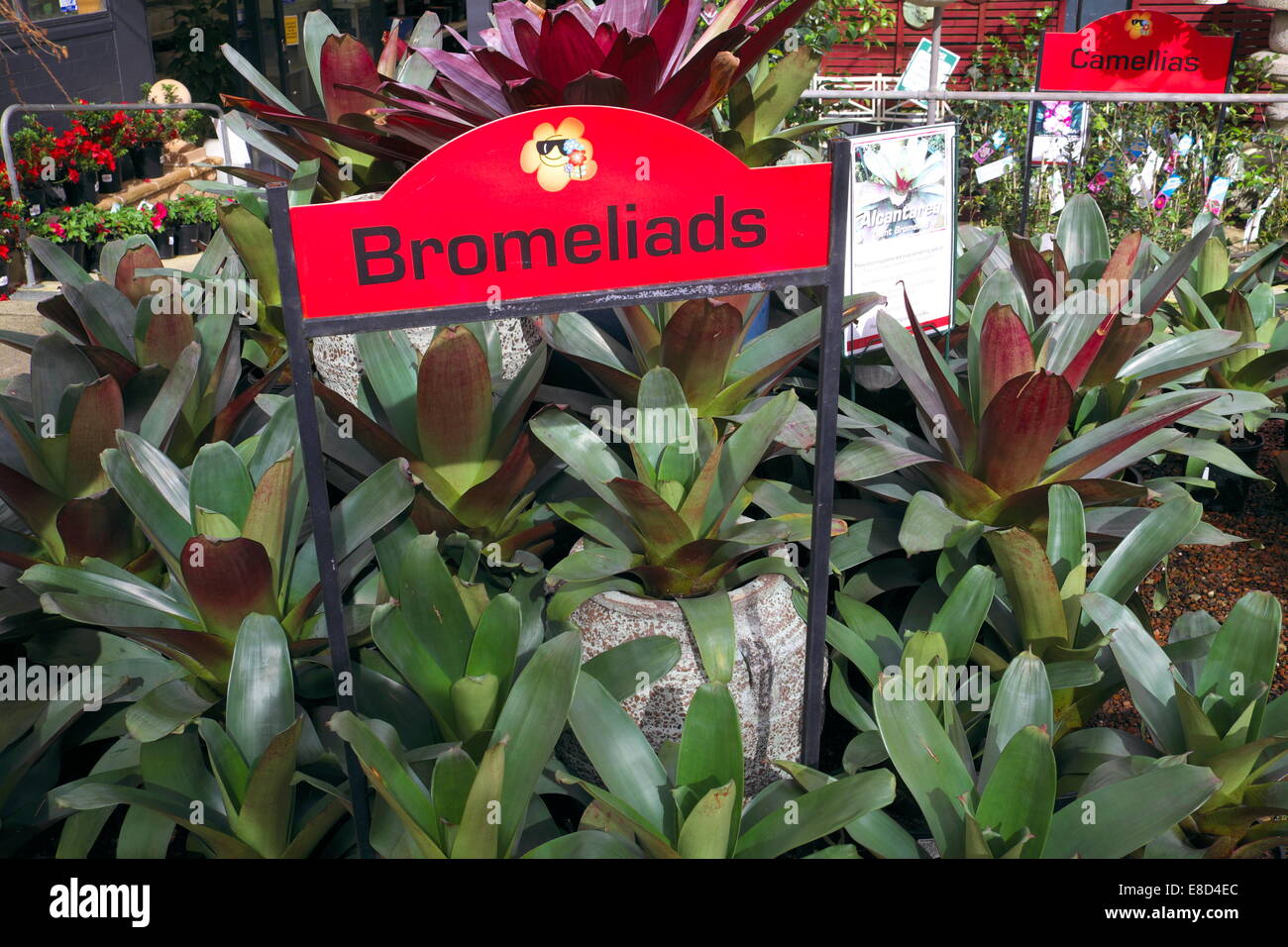 sydney garden centre with a display of plants for sale to the public