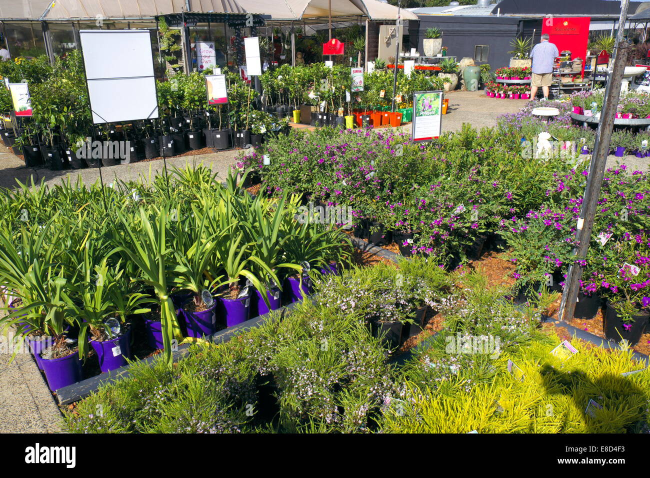 Garden centre hi-res stock photography and images - Alamy