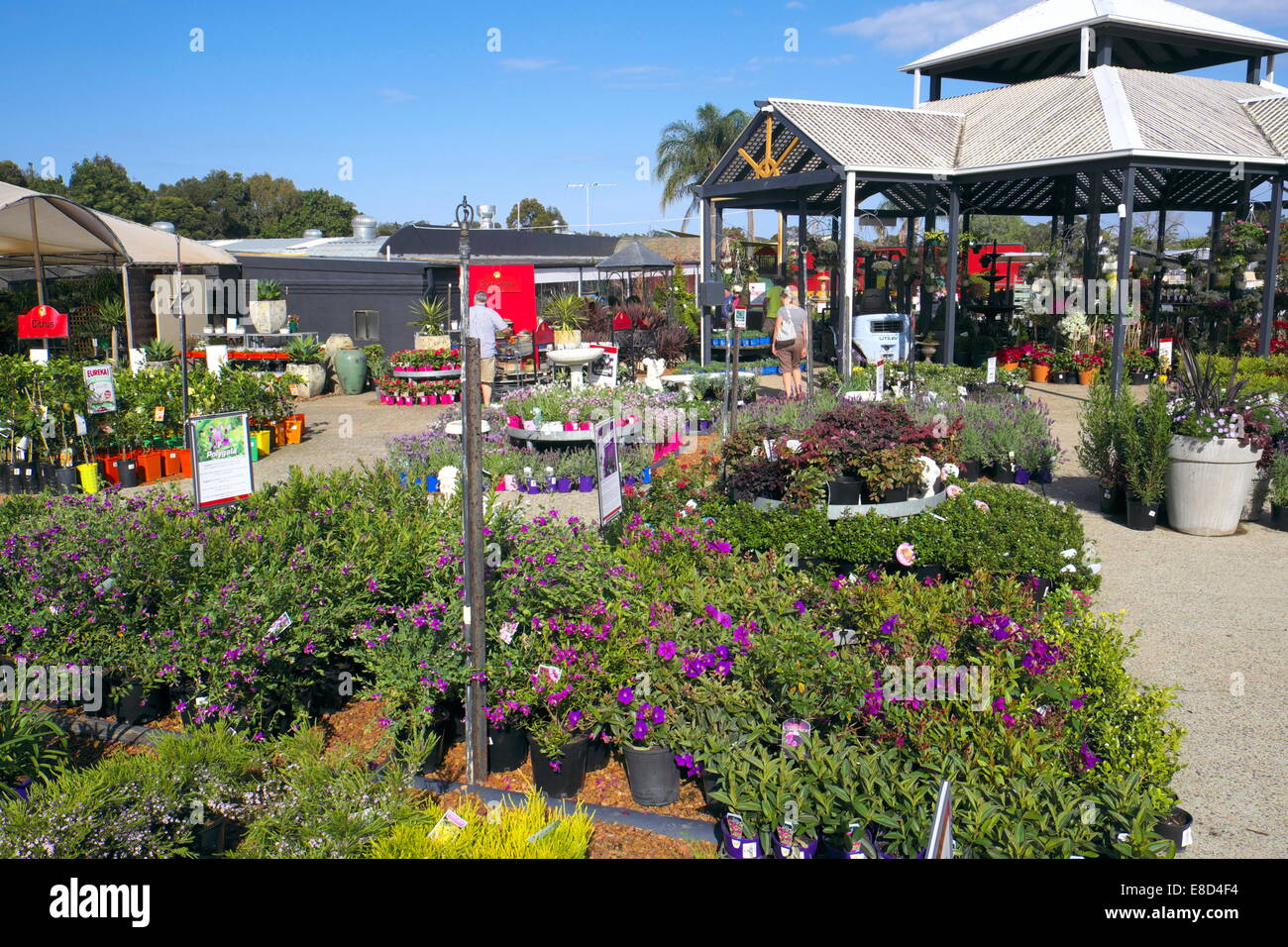 Garden centre plant display hi-res stock photography and images - Alamy