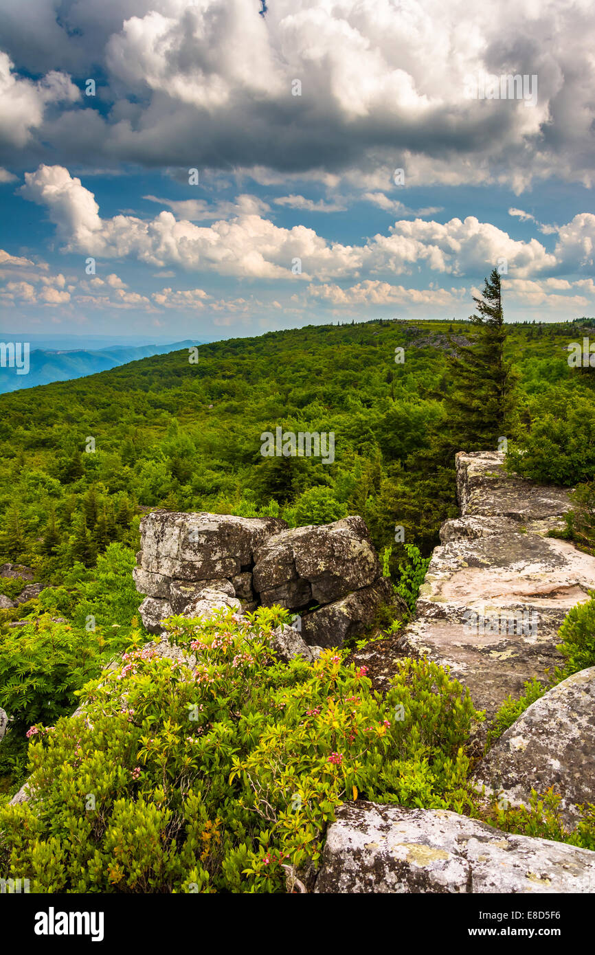 Boulders and view of the Appalachian Mountains from Bear Rocks Preserve, Monongahela National Forest, West Virginia. Stock Photo