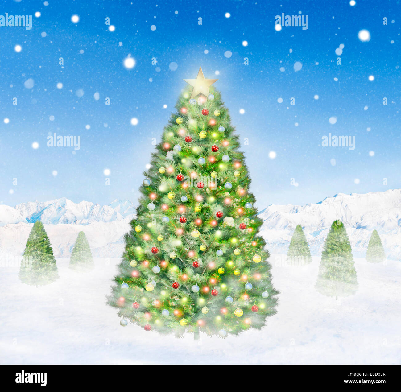 Group of Christmas Trees Outdoors Snowing Stock Photo - Alamy