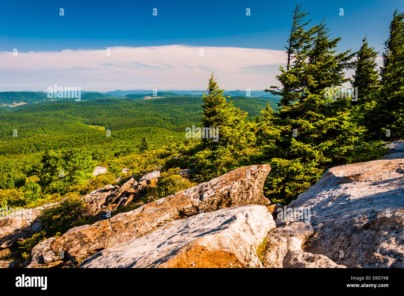 View from Spruce Knob, West Virginia Stock Photo Alamy