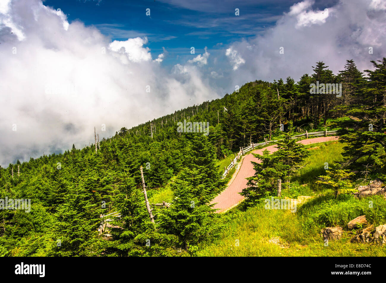 View from the Observation Tower at Mount Mitchell, North Carolina. Stock Photo