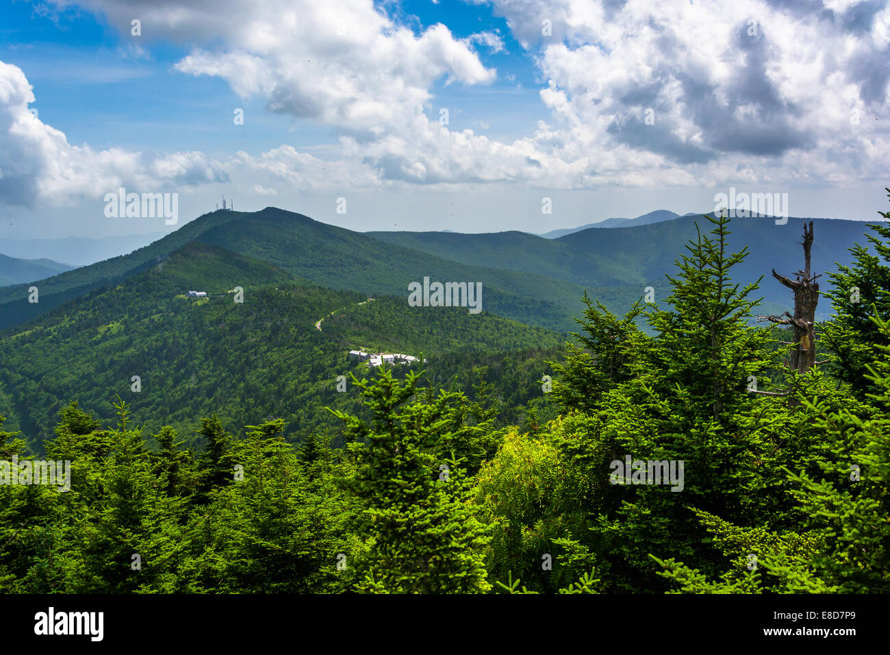 View of the Appalachian Mountains from the Observation Tower at Mount Mitchell, North Carolina. Stock Photo