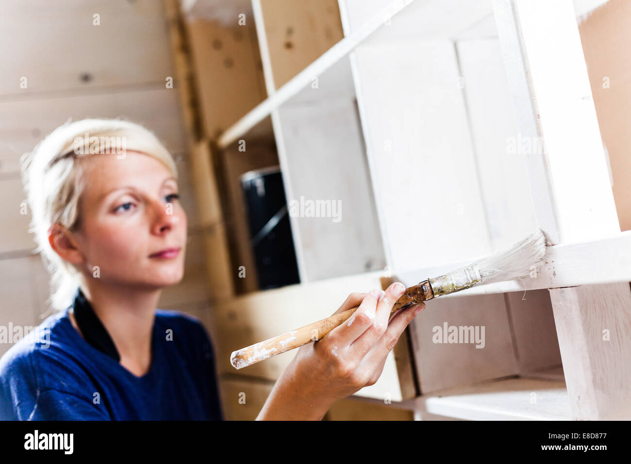 Real Home Renovation (not studio) - Woman Applying White Paint on a Wood Library. Stock Photo