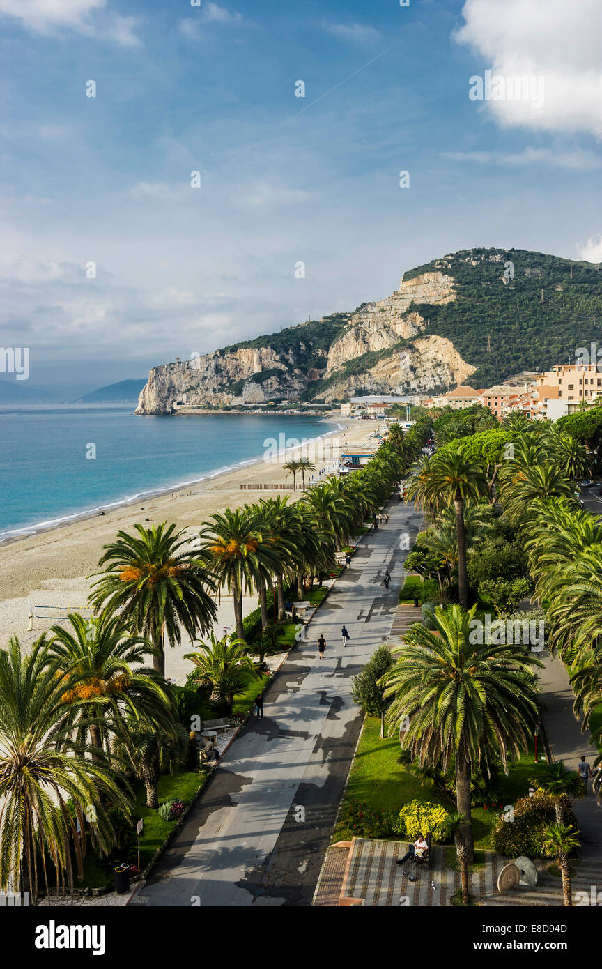 Palm avenue, beach promenade, Finale Ligure, Province of Savona, Liguria, Italy Stock Photo