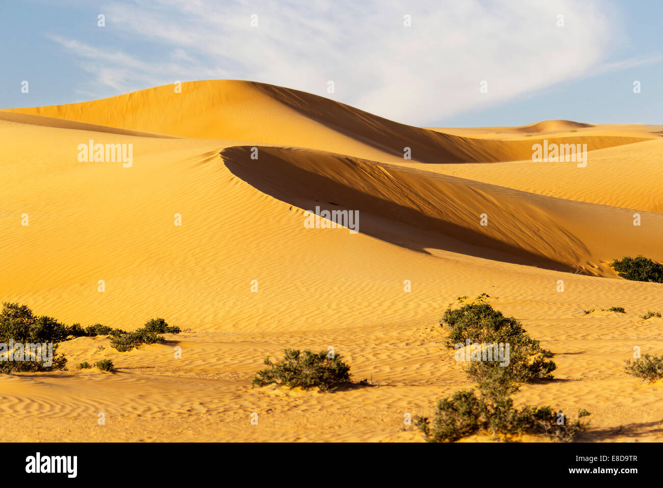 Sand dunes, desert, Dubai, United Arab Emirates, Asia Stock Photo