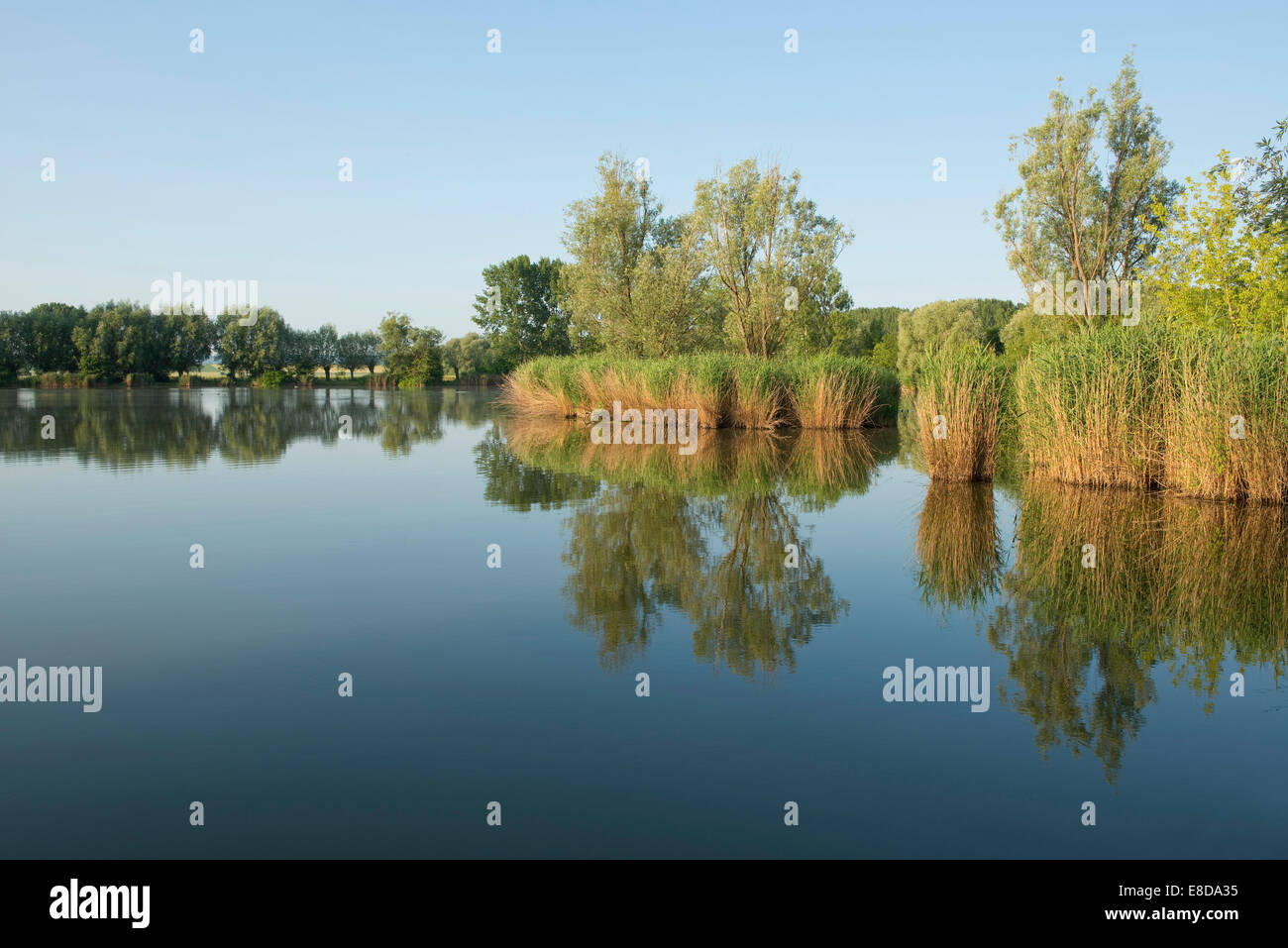 Pond landscape, Herbslebener Teiche nature reserve, Herbsleben