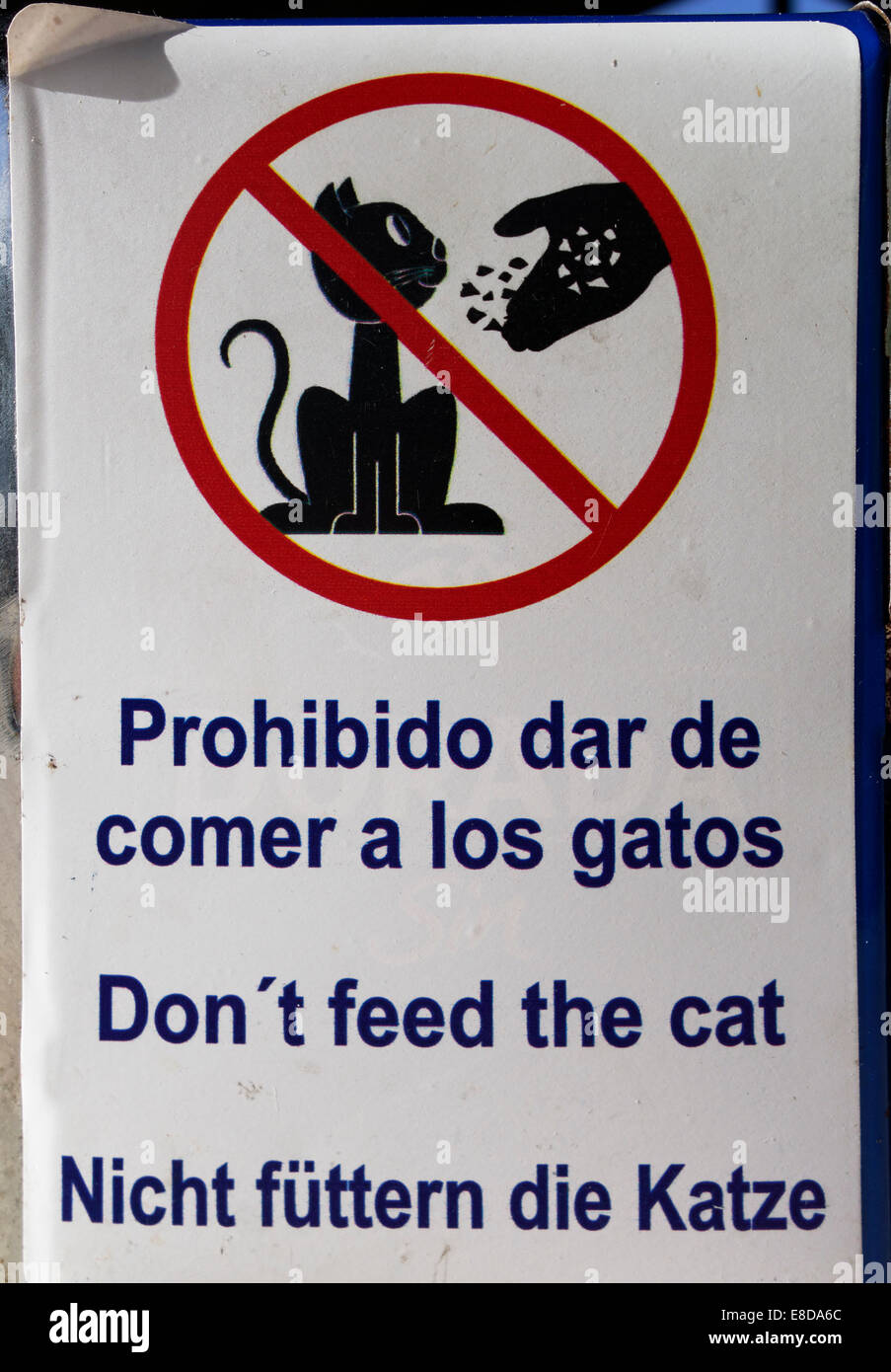 do not feed cats