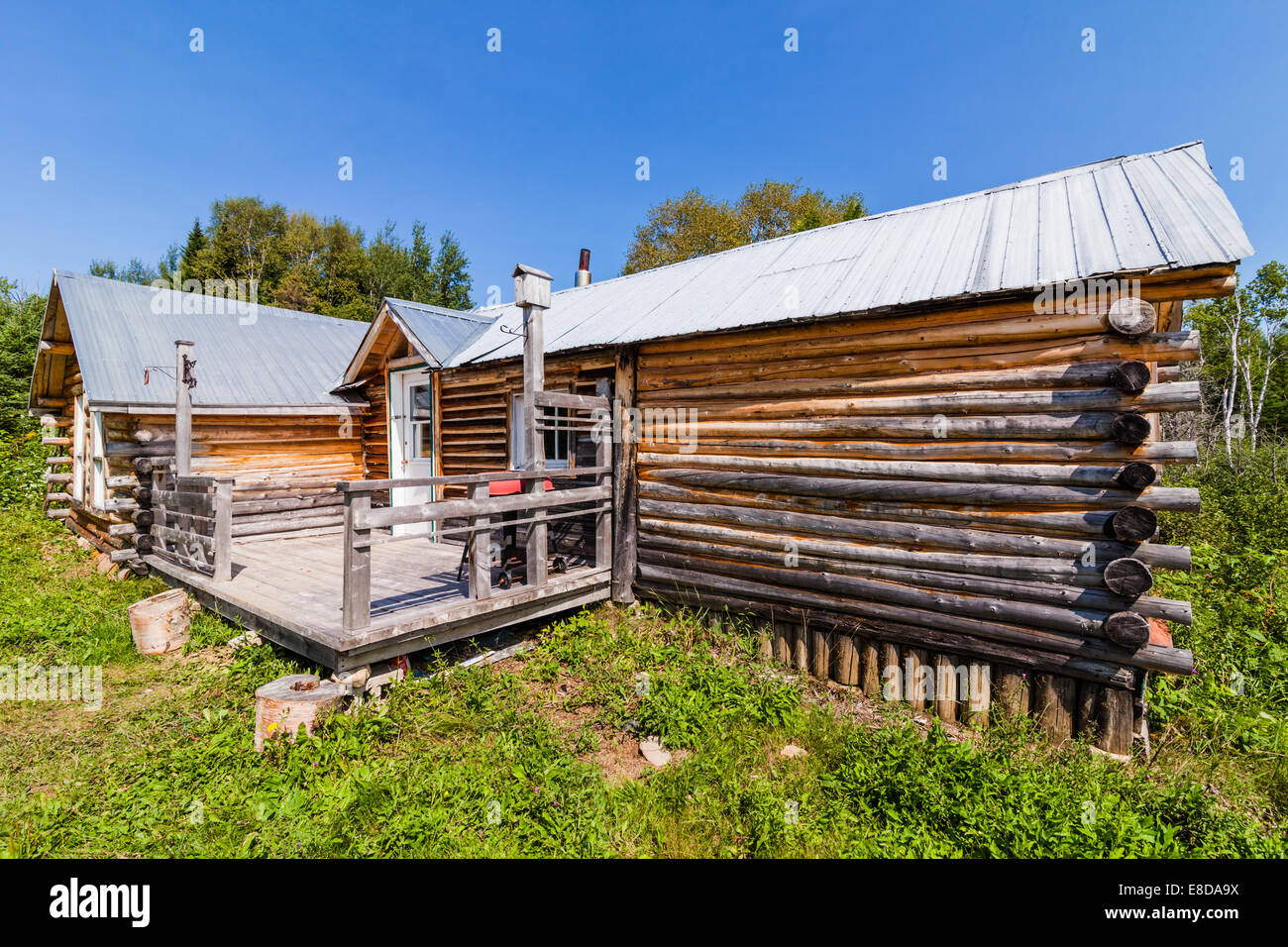 Log Wood Shack in a Canadian Forest Stock Photo - Alamy